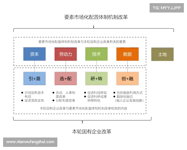 战术演示解析与实战应用技巧探索，提升战斗力的关键要素剖析